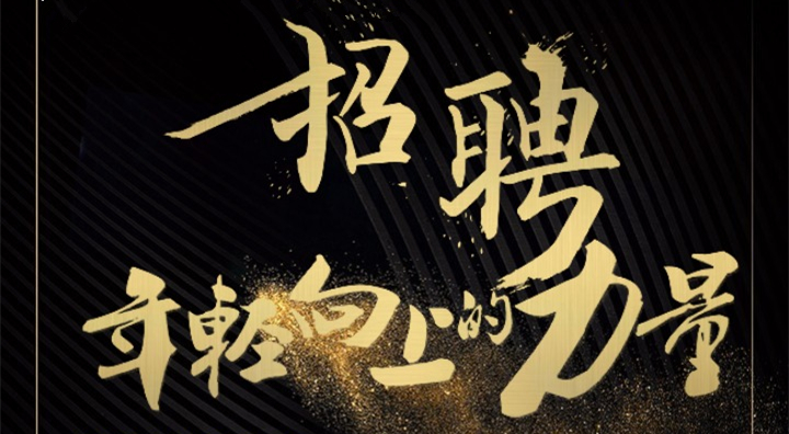 鼎华国际招聘体系审核员