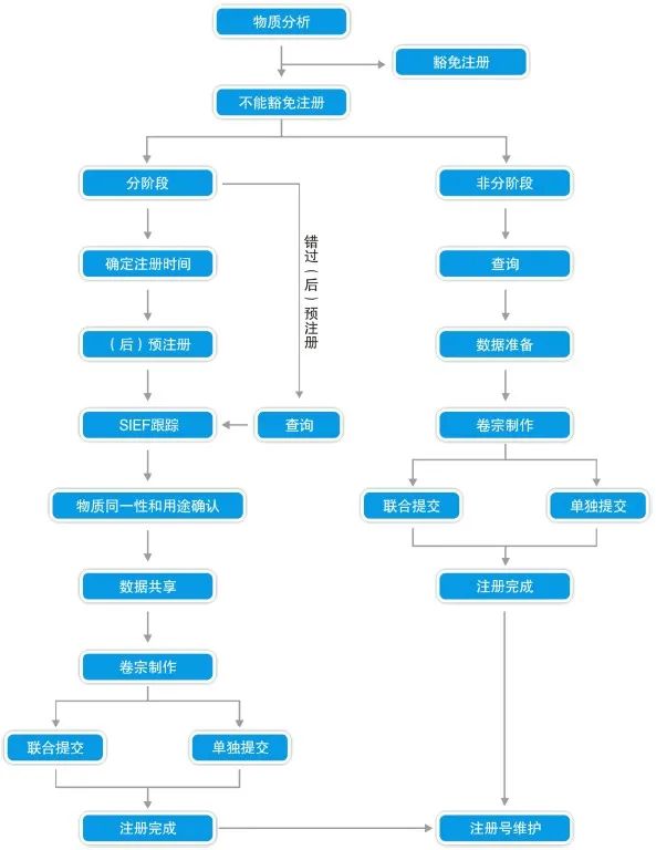 欧盟REACH注册流程图